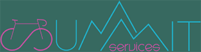Summit Services – Ice Logo